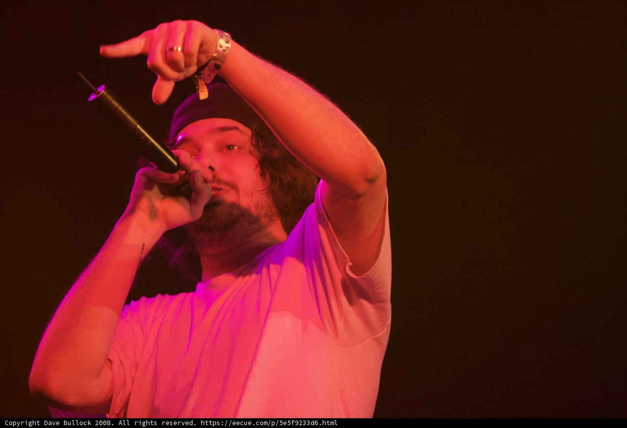 Aesop Rock Commands Coachella Stage with Microphone