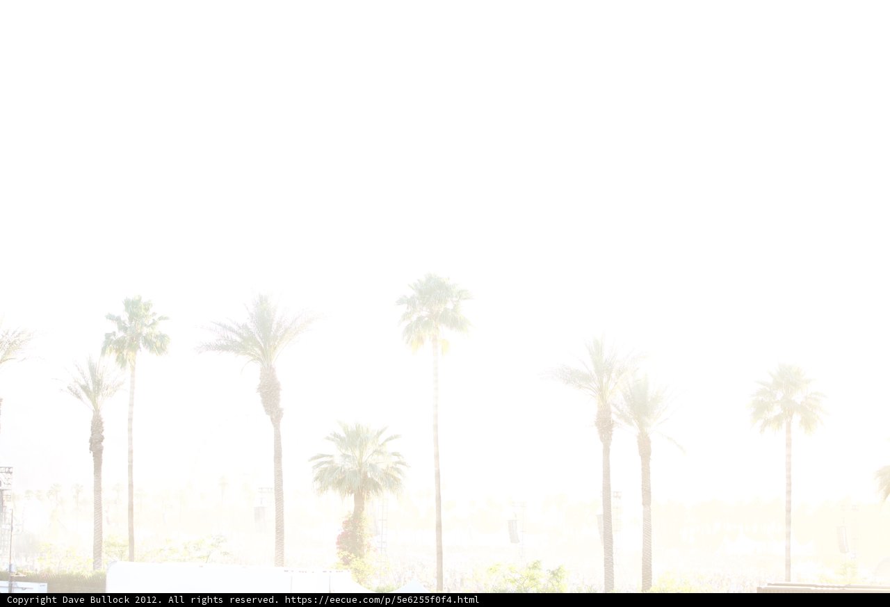 Serene Moment Amidst a Hazy Landscape