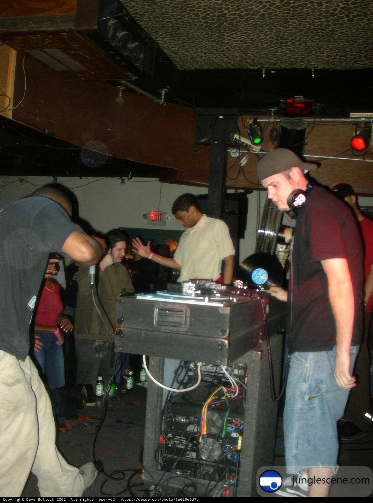 Party People Grooving to the DJ's Beat