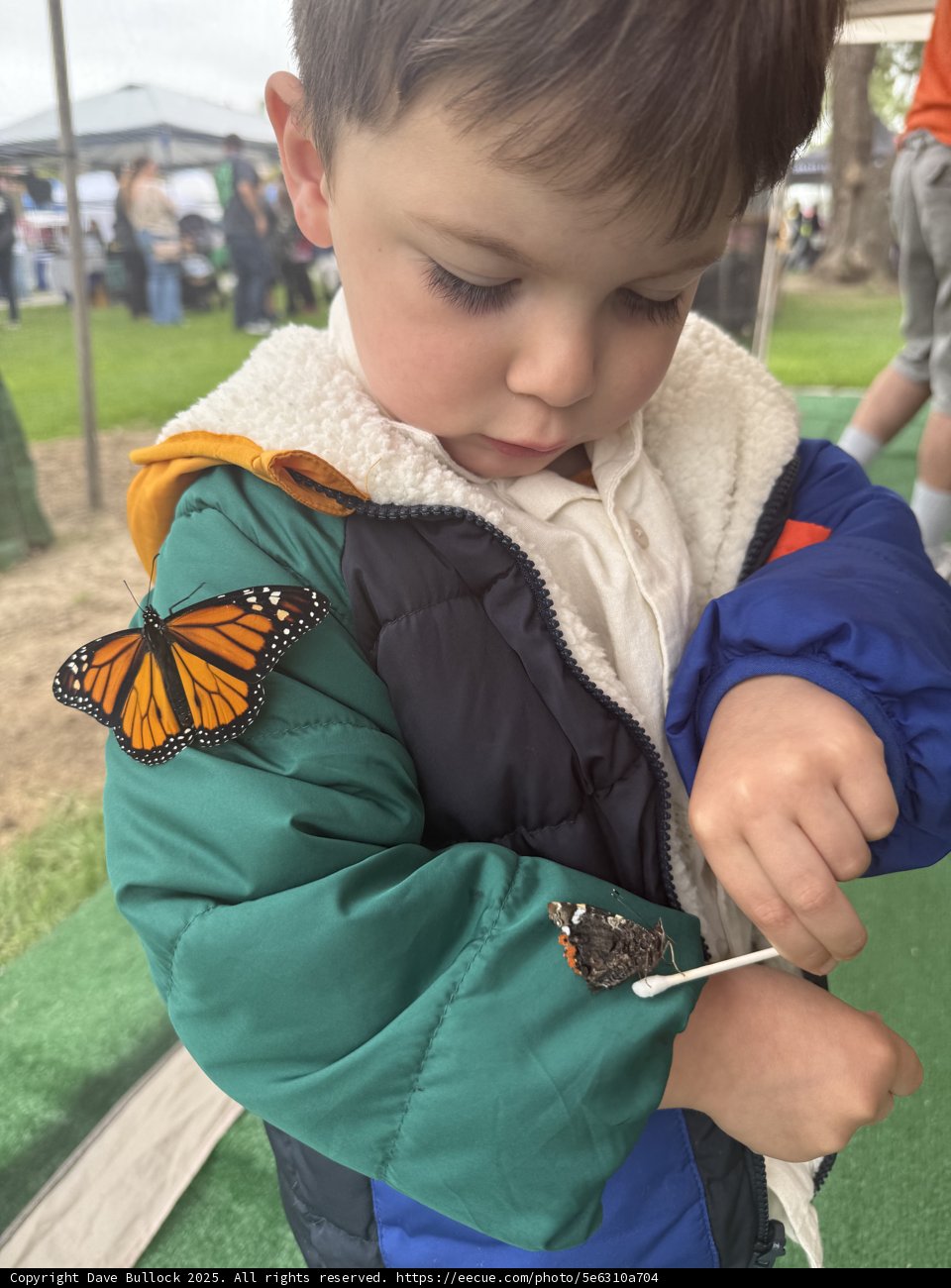 Curious Encounters at Plaza Park