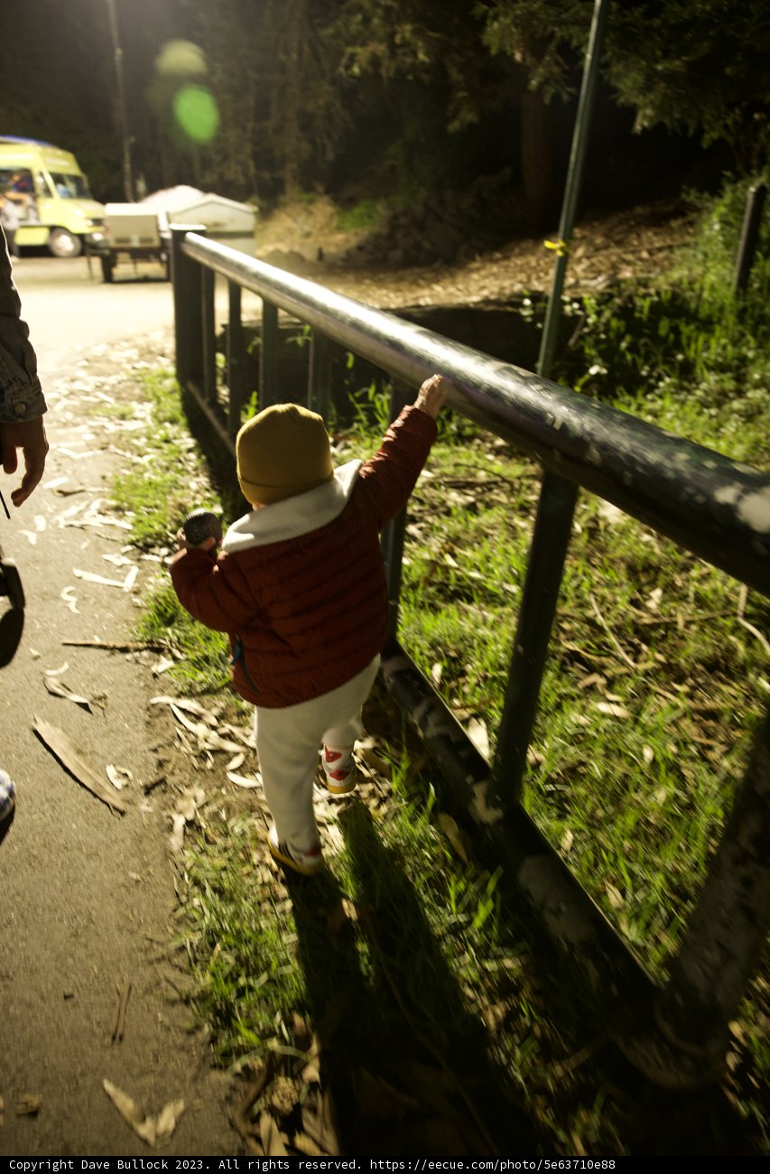 Childhood Adventure at Stern Grove Halloween Festival