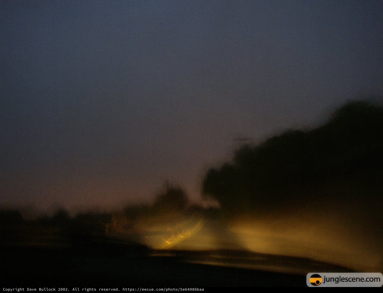 Driving Through the Night Fog