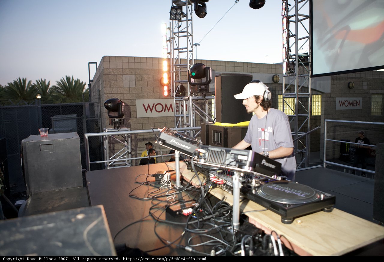 DJ Under the Palm Trees