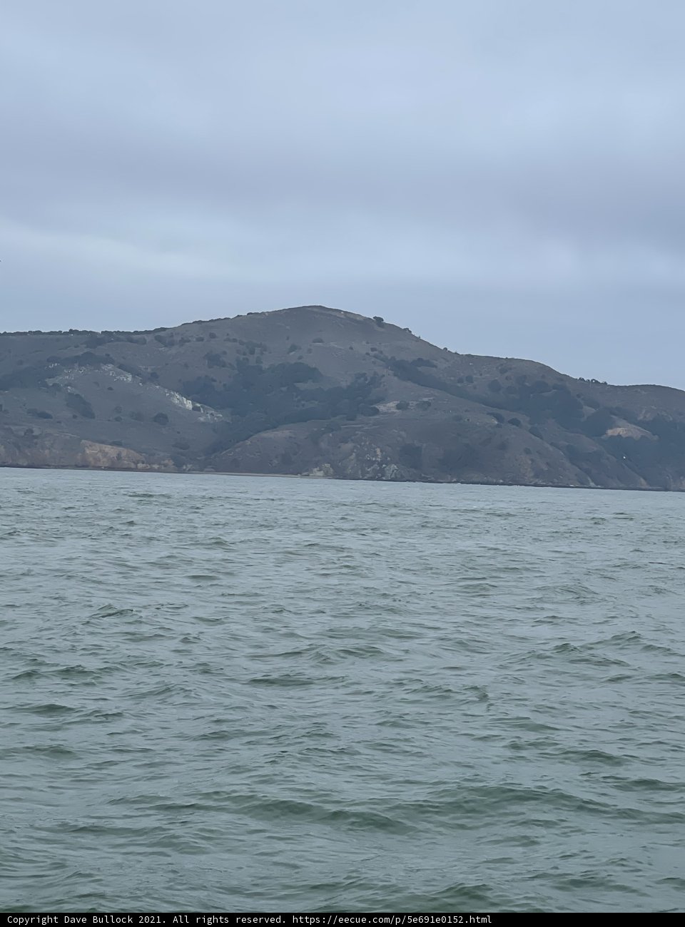 Serene View of San Francisco Bay