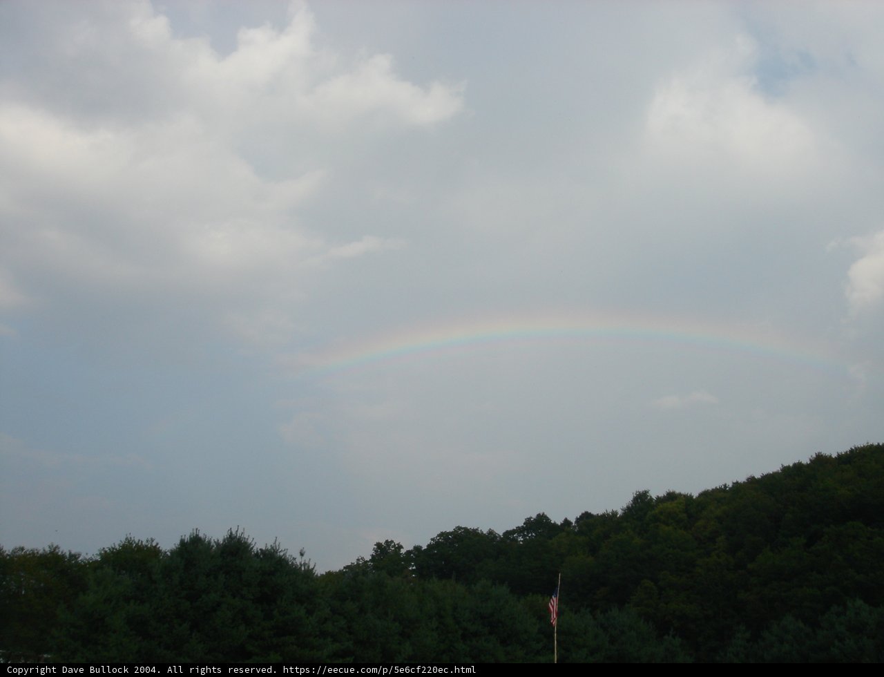 Nature's Rainbow Over the Forest