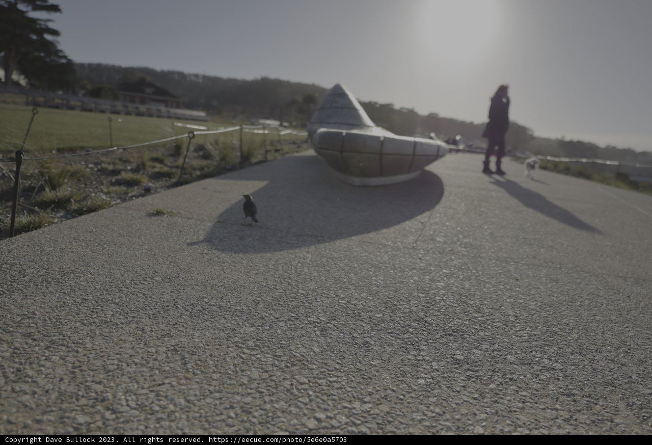 Walking on a Sunny Day
