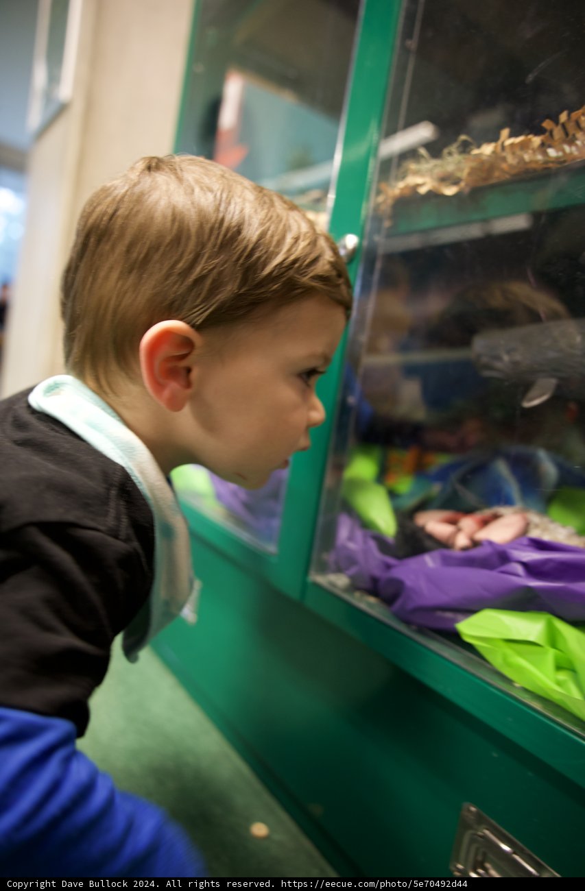 Underwater Fascination at the California Academy of Sciences.