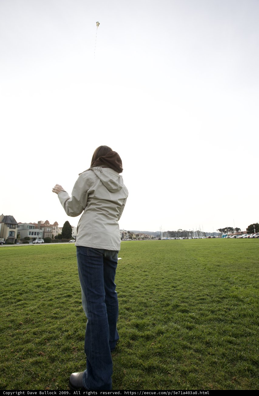 Kite- Flying Fun in the San Francisco Fields