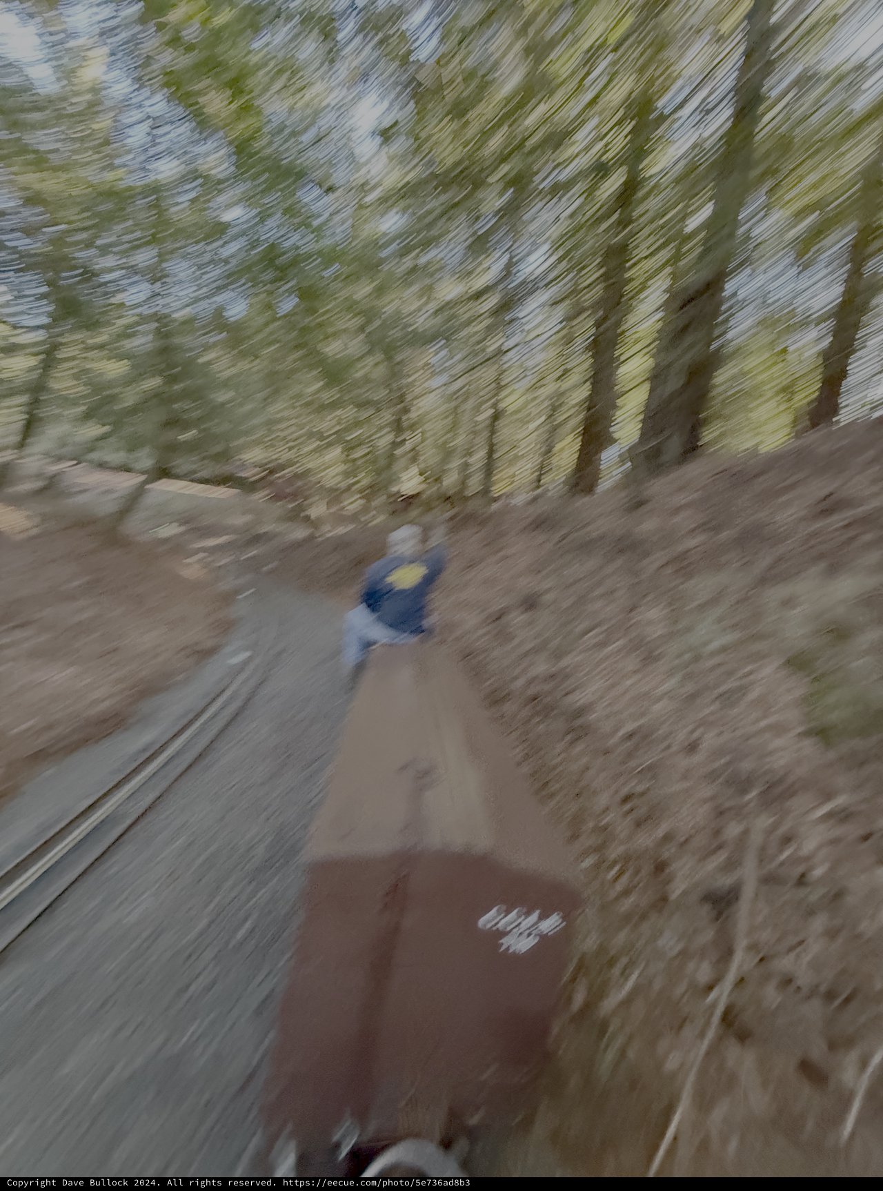 Motion-Blurred Trail Runner in Wooded Path