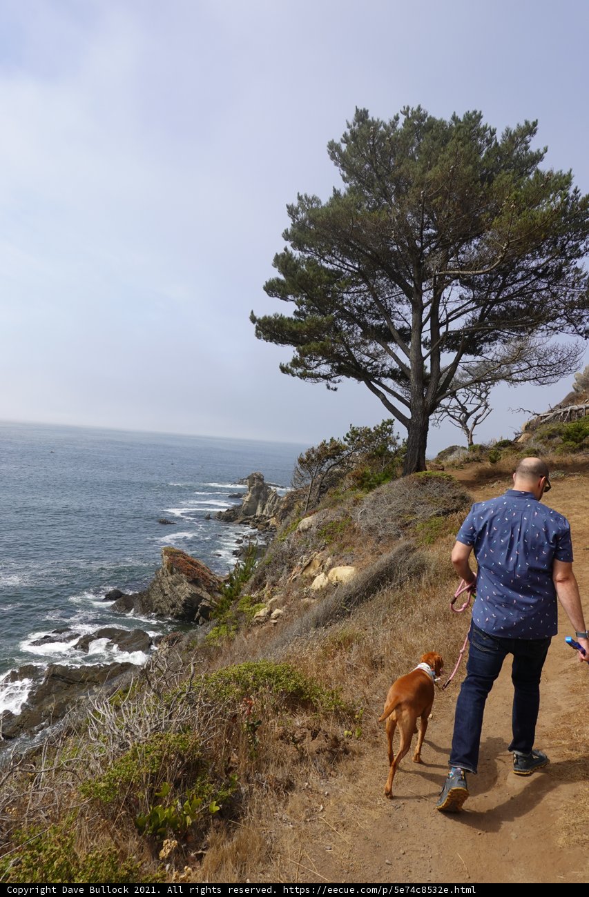 Hitting the Trail with My Furry Companion
