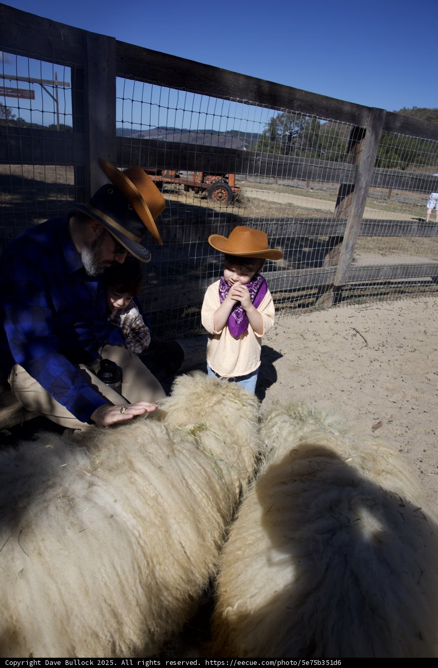 Cowboy Meet and Greet