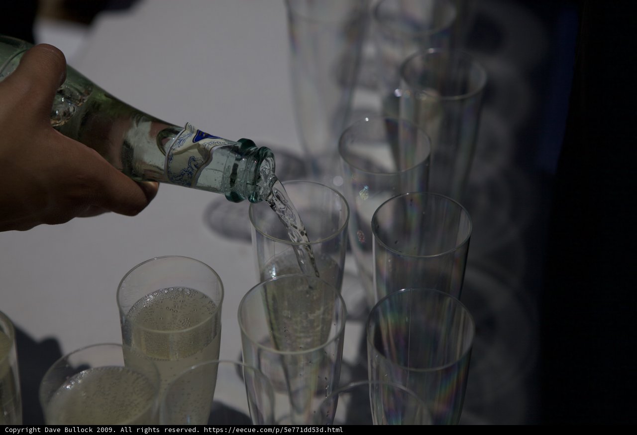 Champagne Toast