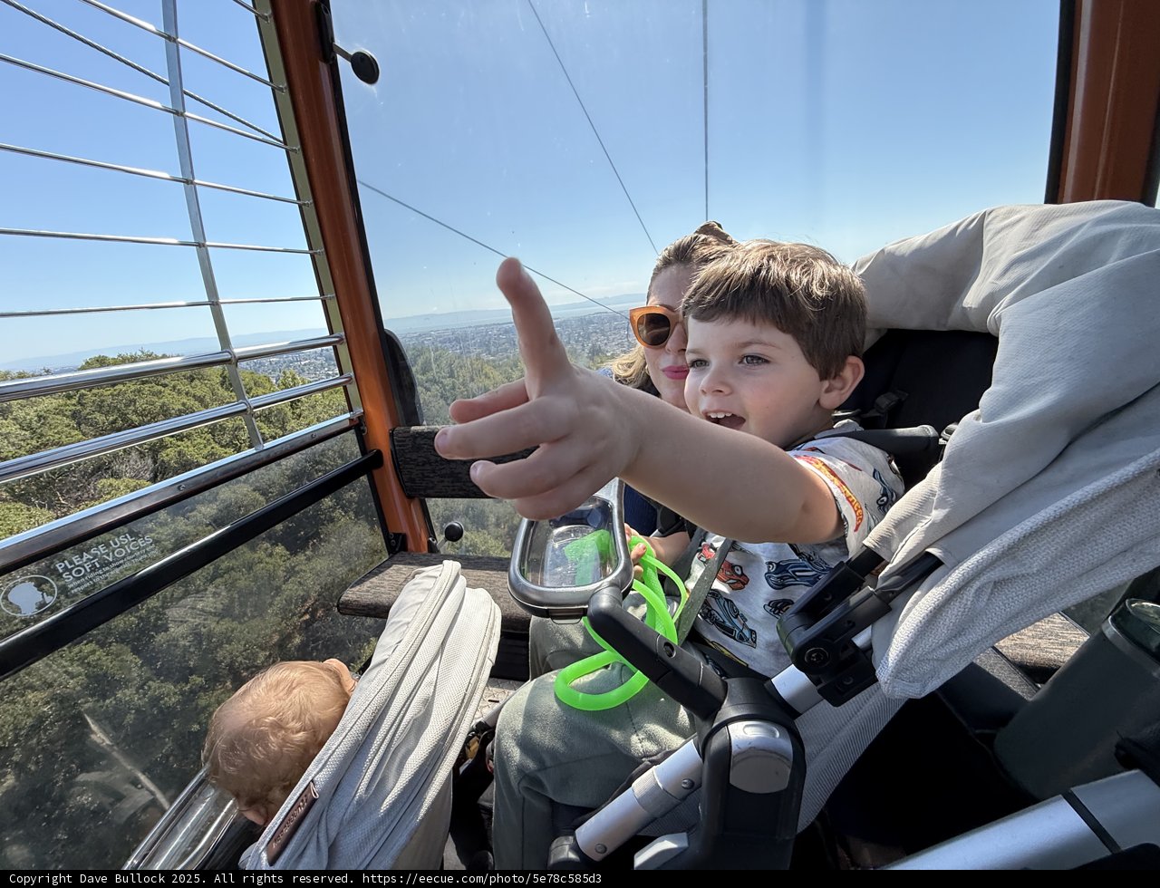 Joyride Above the Zoo