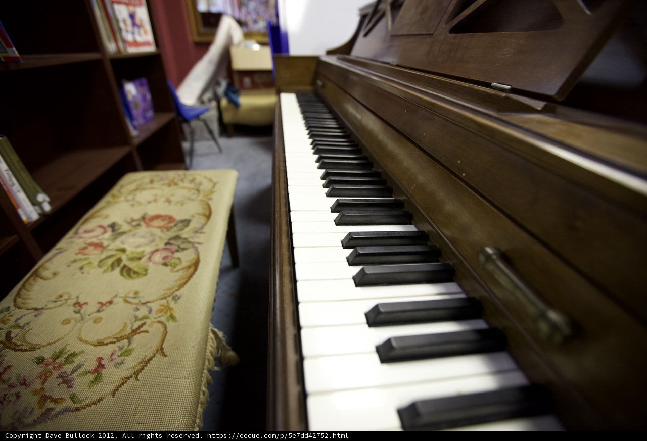 Grand Piano in a Bookish Haven