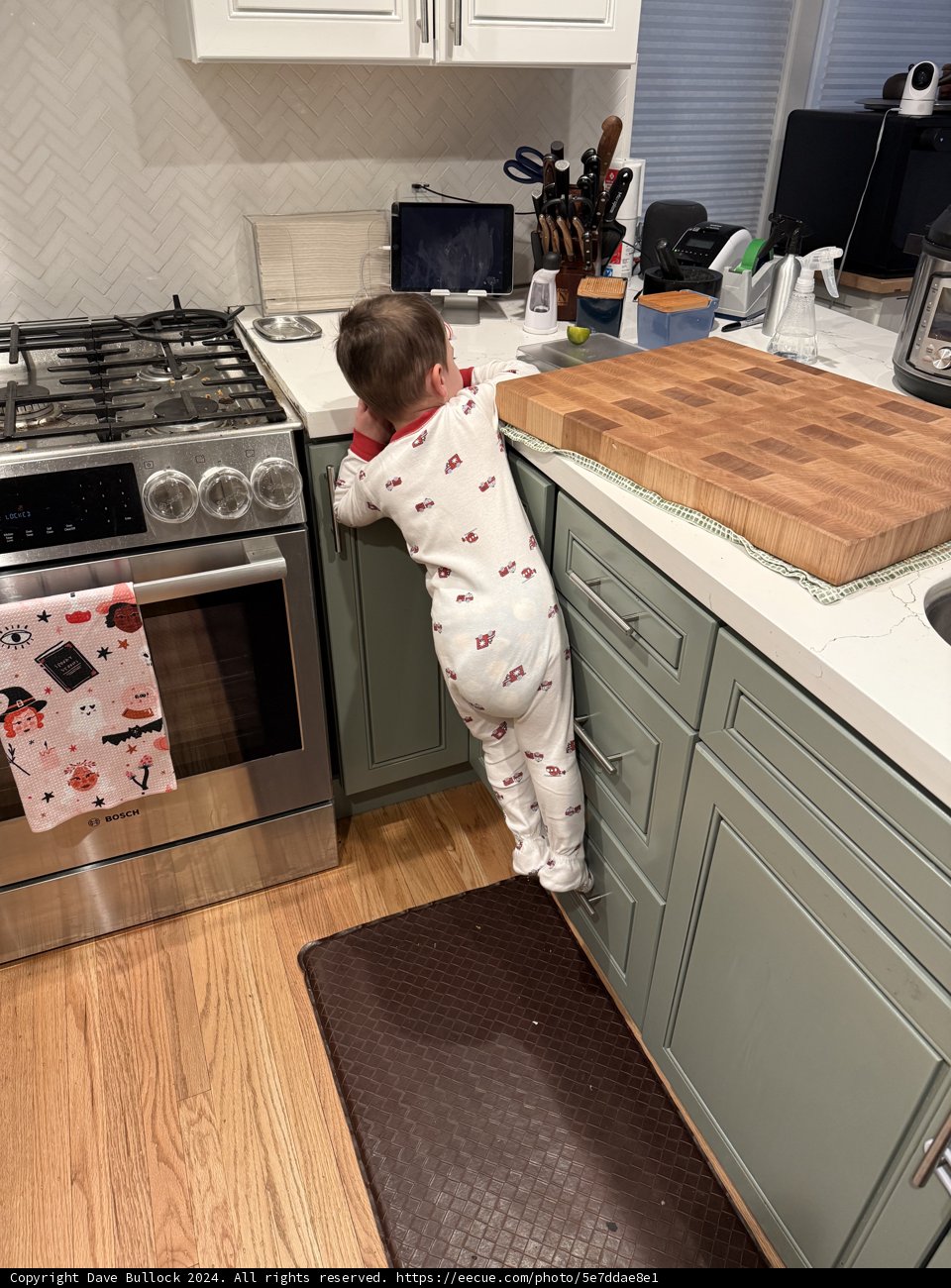 Curiosity in the Kitchen