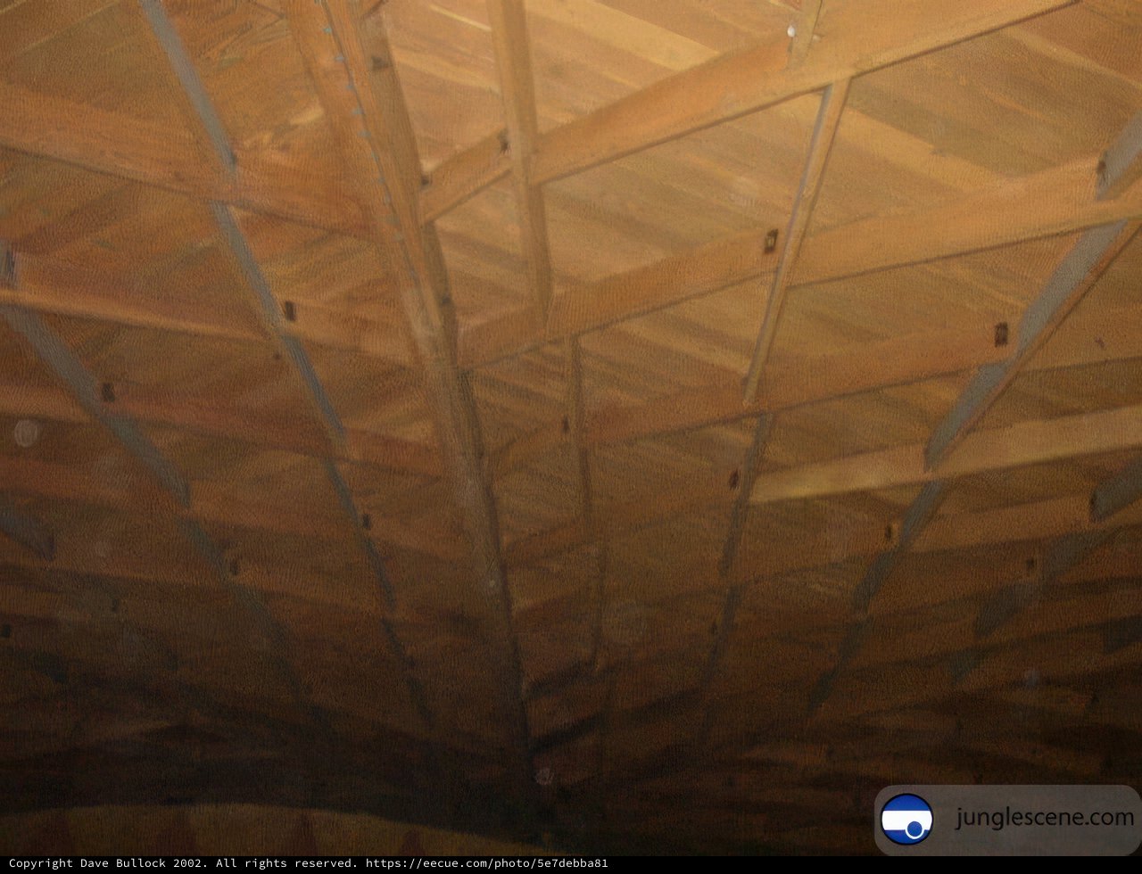 Wooden Vault Ceiling in an Indoor Loft