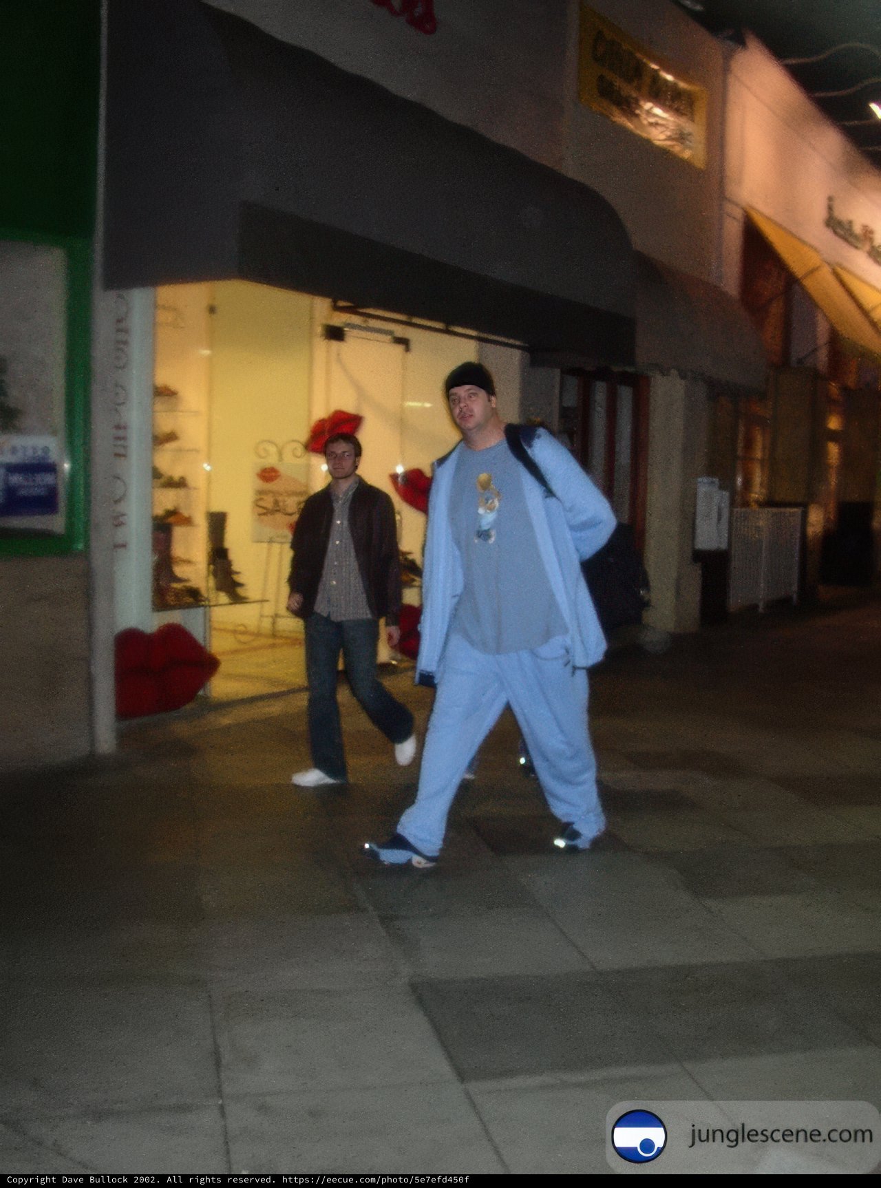 Walking through the City in Style