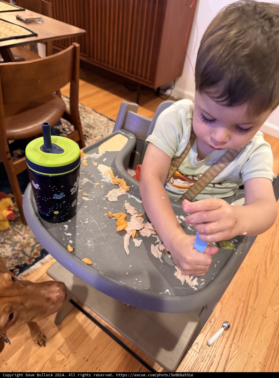 Little Chef in Action