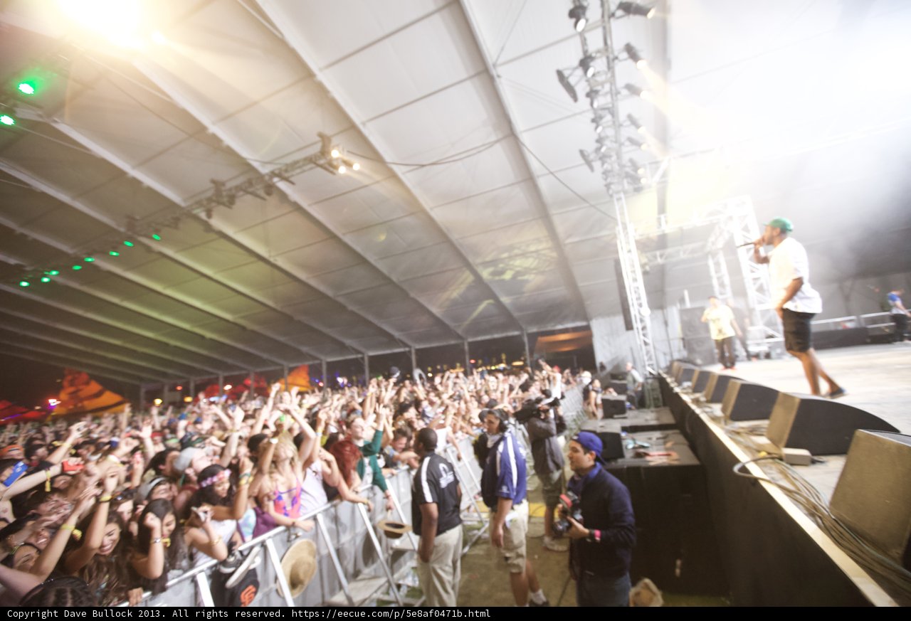 Rocking the Crowd at Coachella