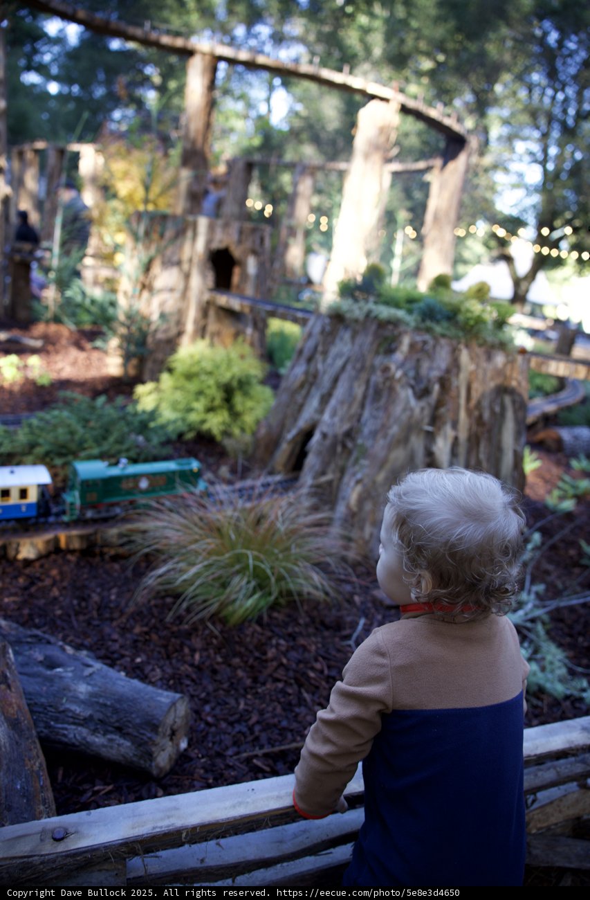 Whimsical Train Adventure