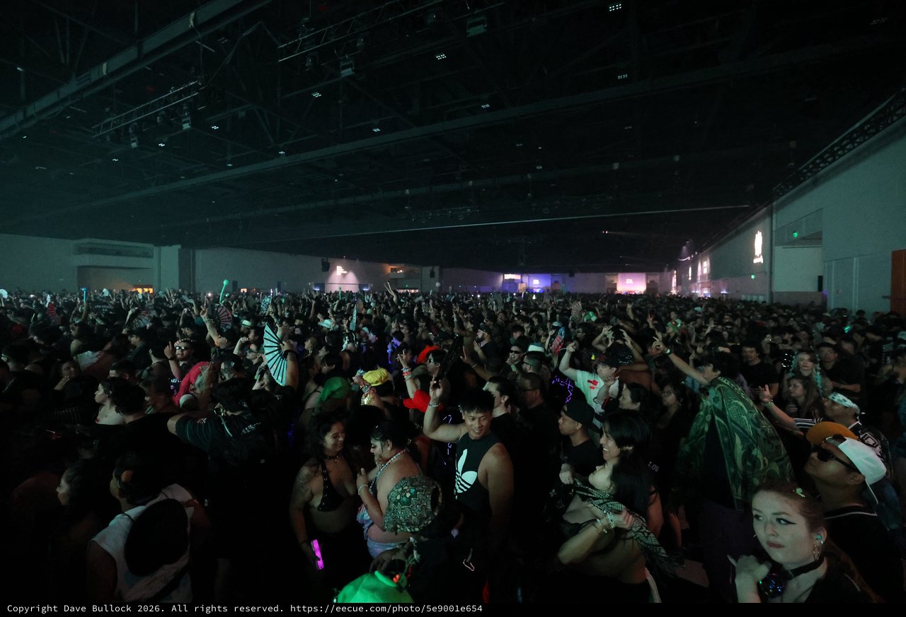 Massive EDM Crowd Surges at Wobbleland 2026