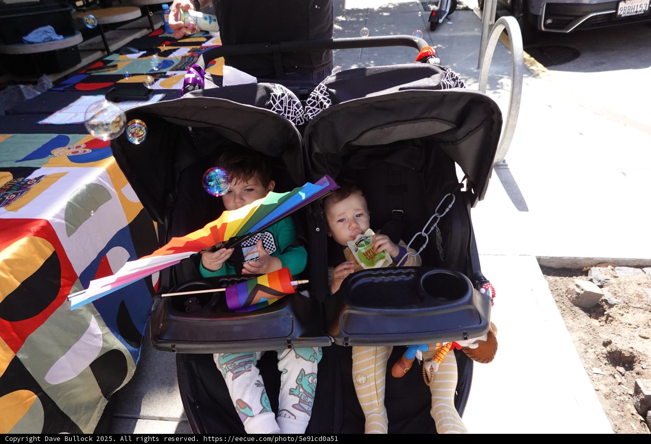 Stroller Adventures in Color