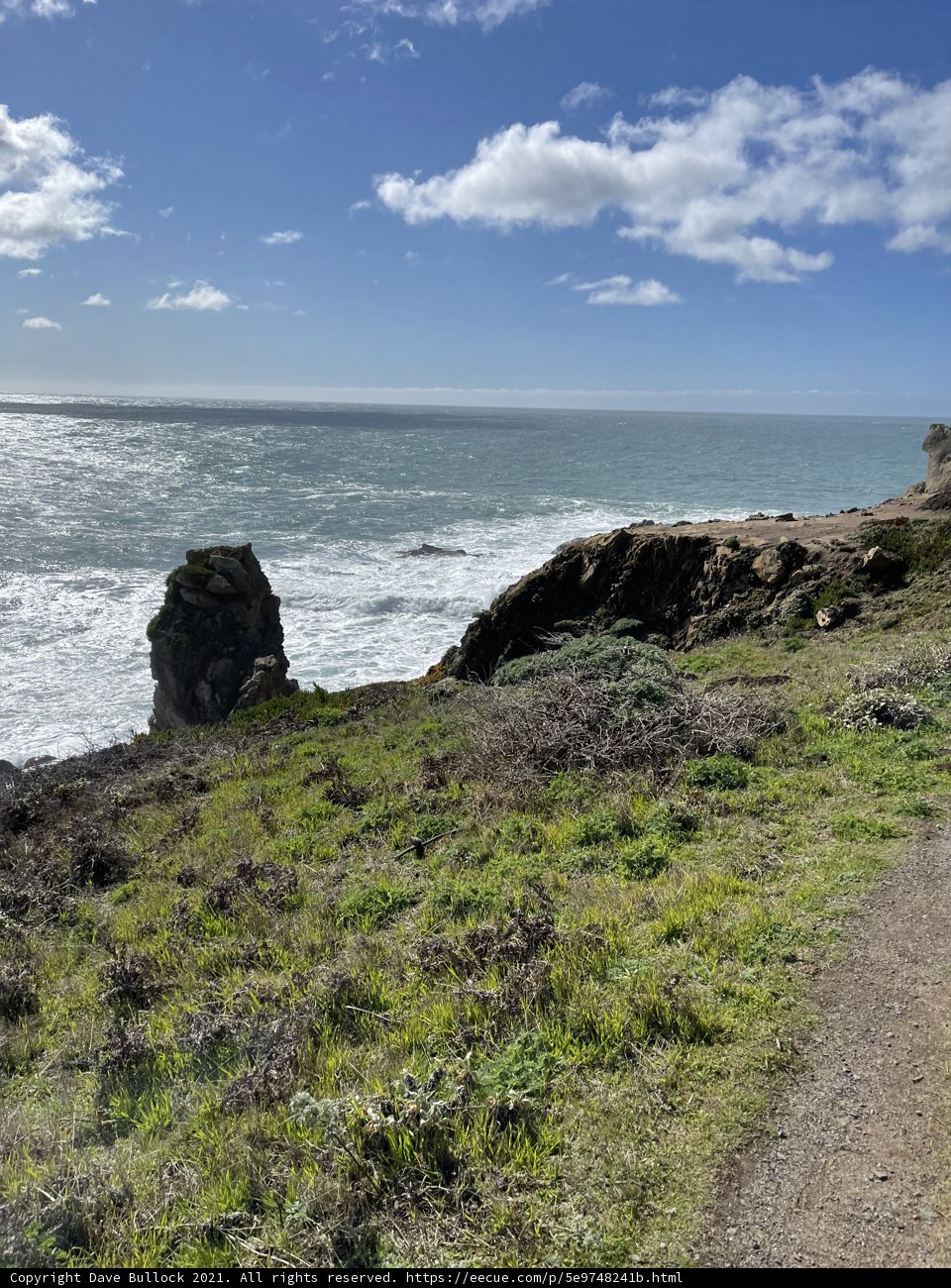 Trail to the Ocean's Edge
