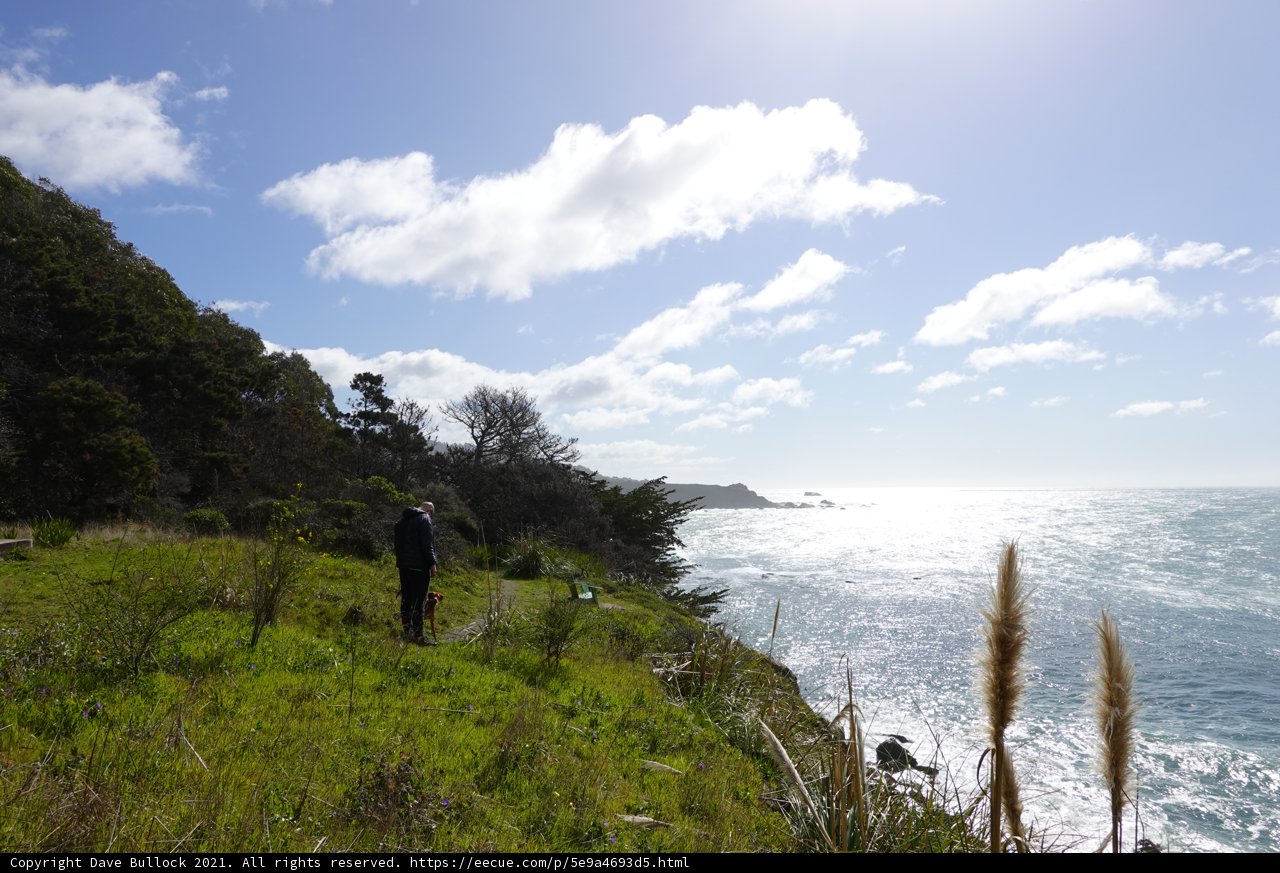 Overlooking the Majestic Sea