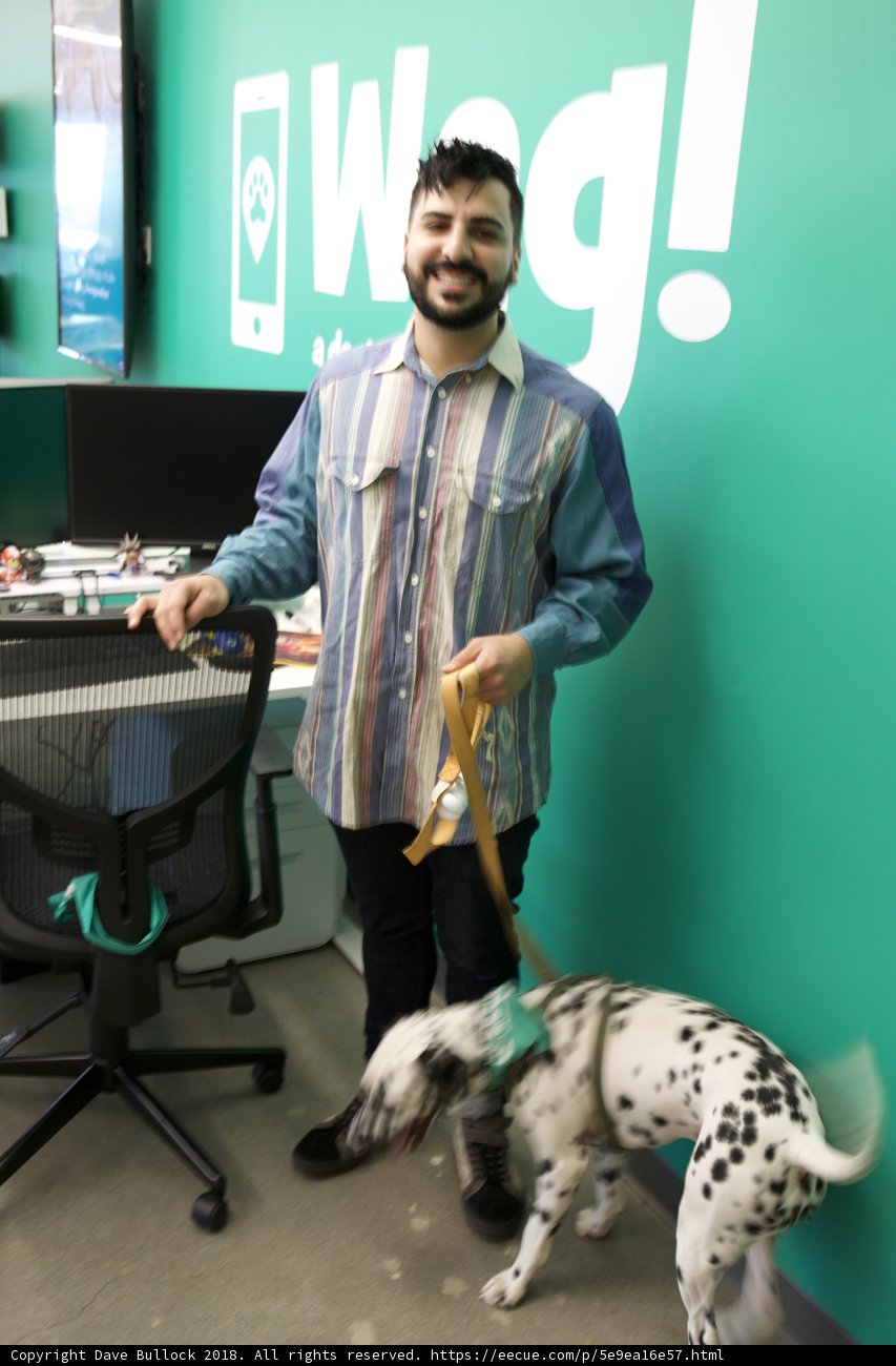 Man's Best Friend