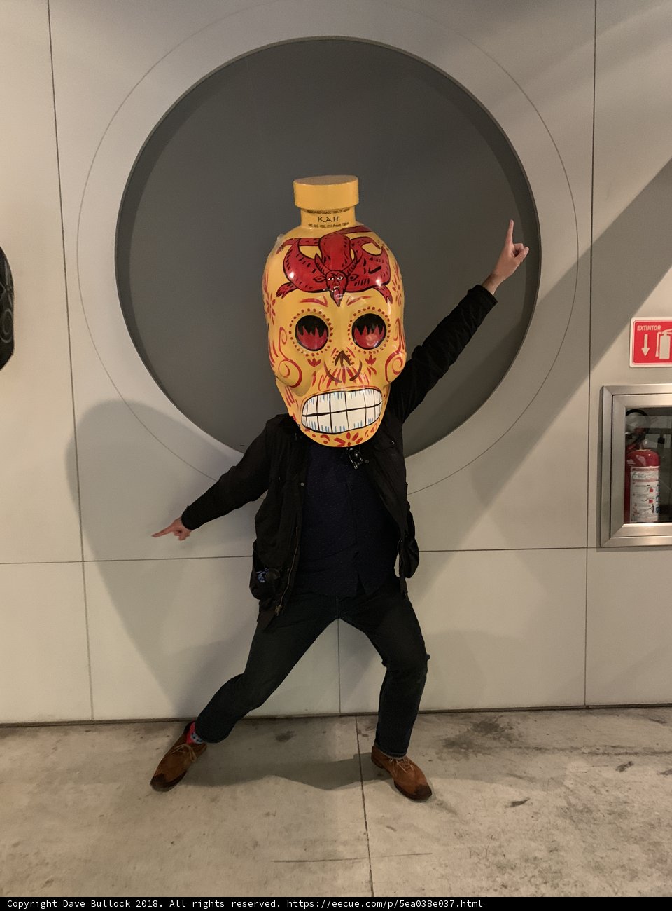 A Sugar Skull Masked Man