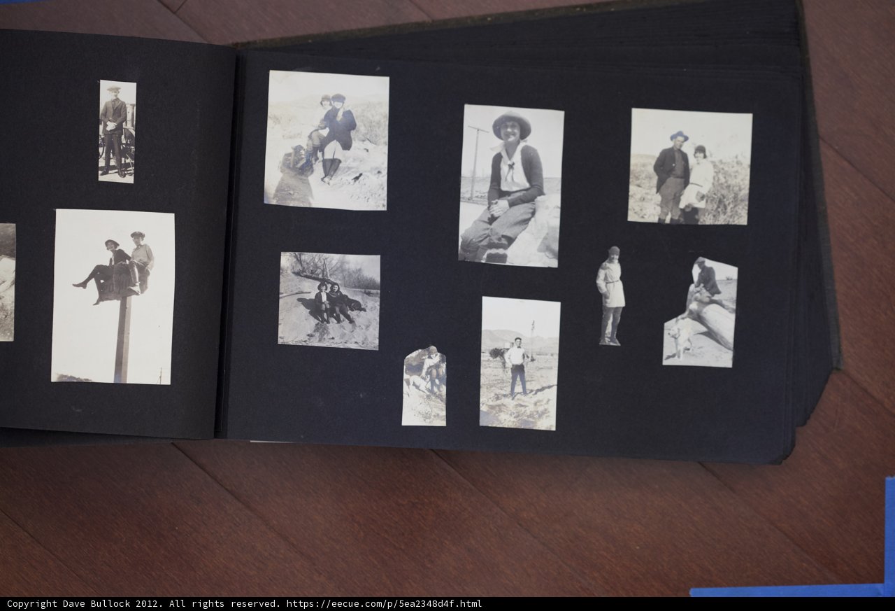 Memories of the Bullock Curtis Family
