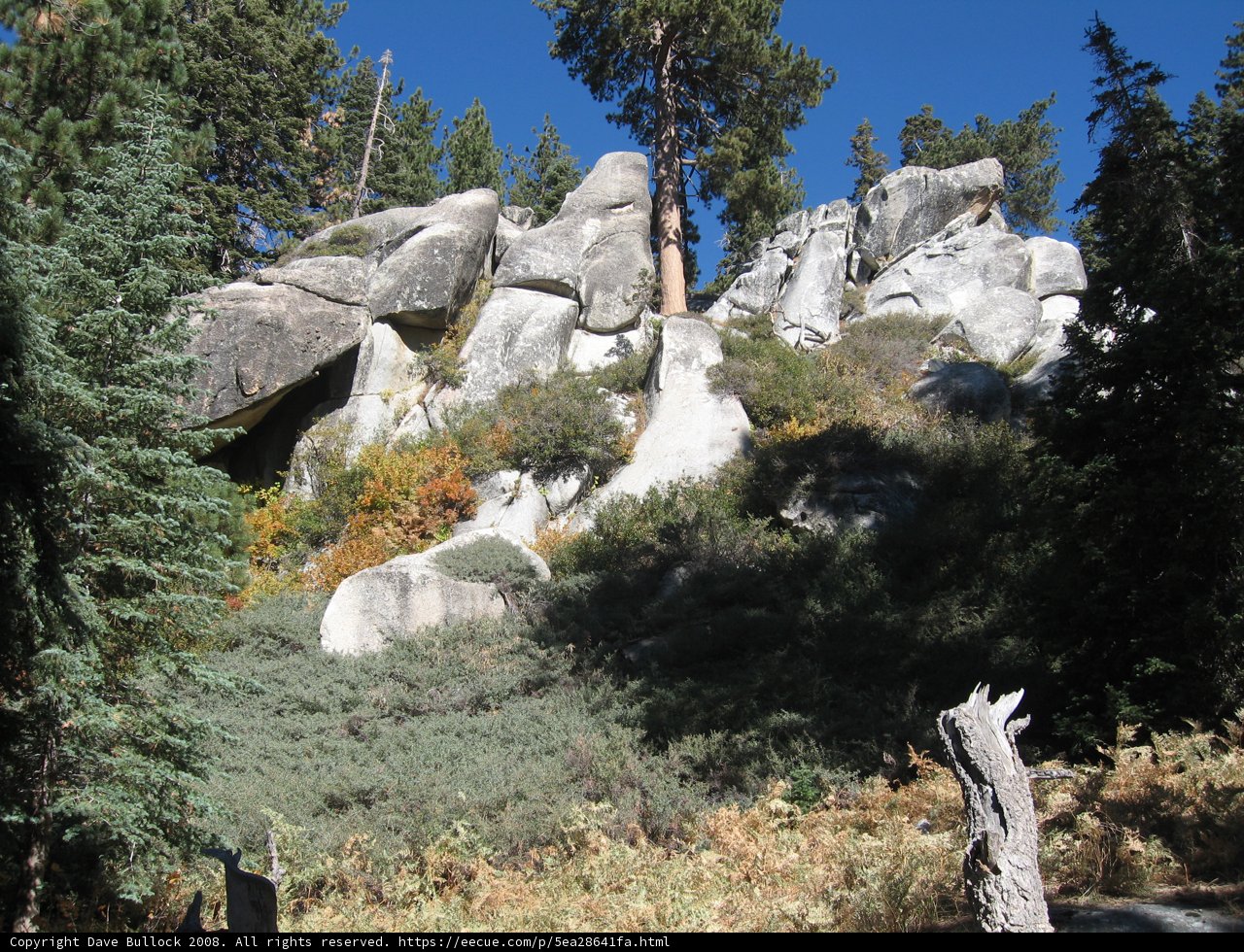 Majestic rock formation surrounded by towering trees