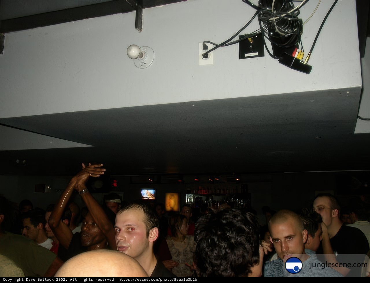 Club Goers with Hands Up
