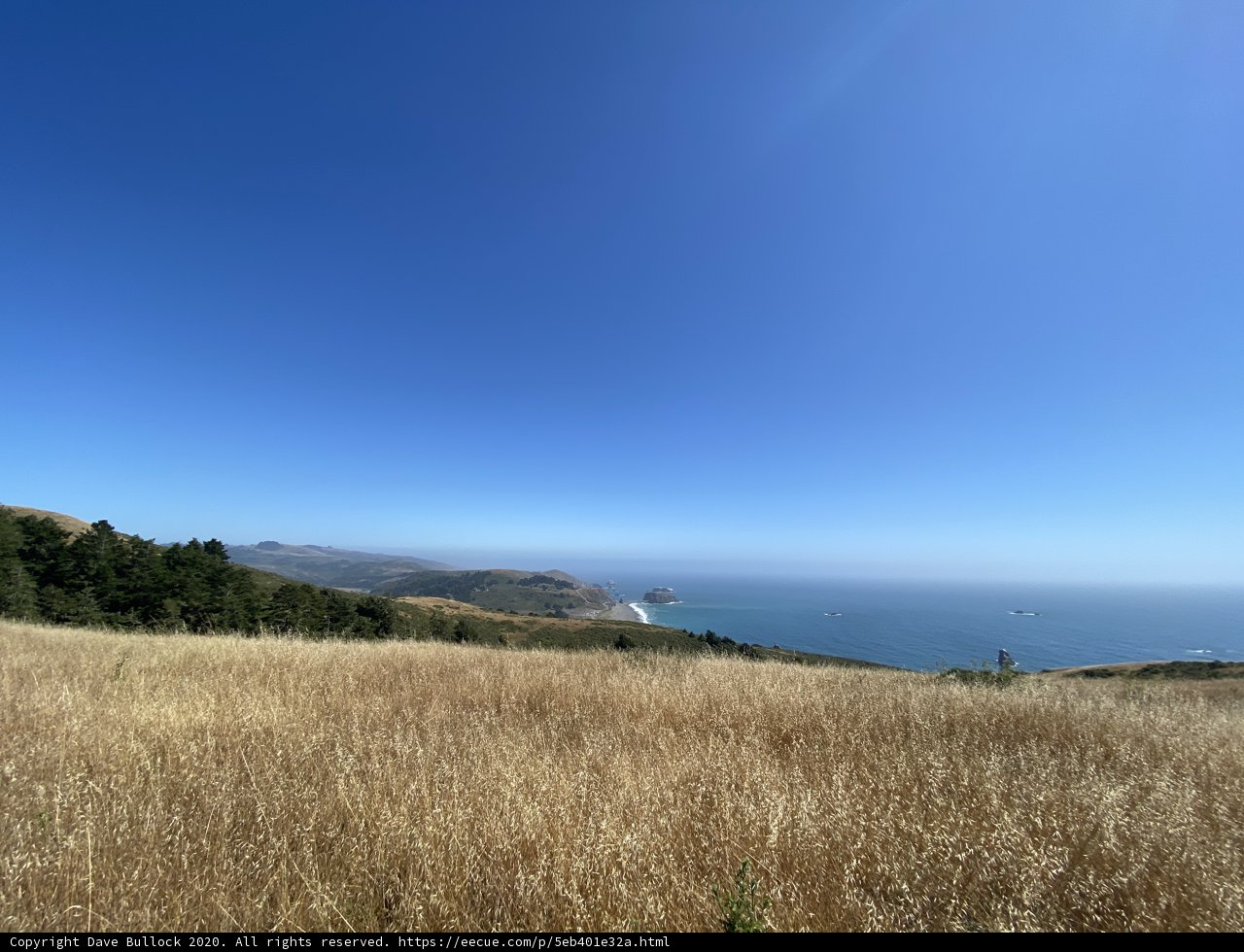 Coastal Beauty from Above