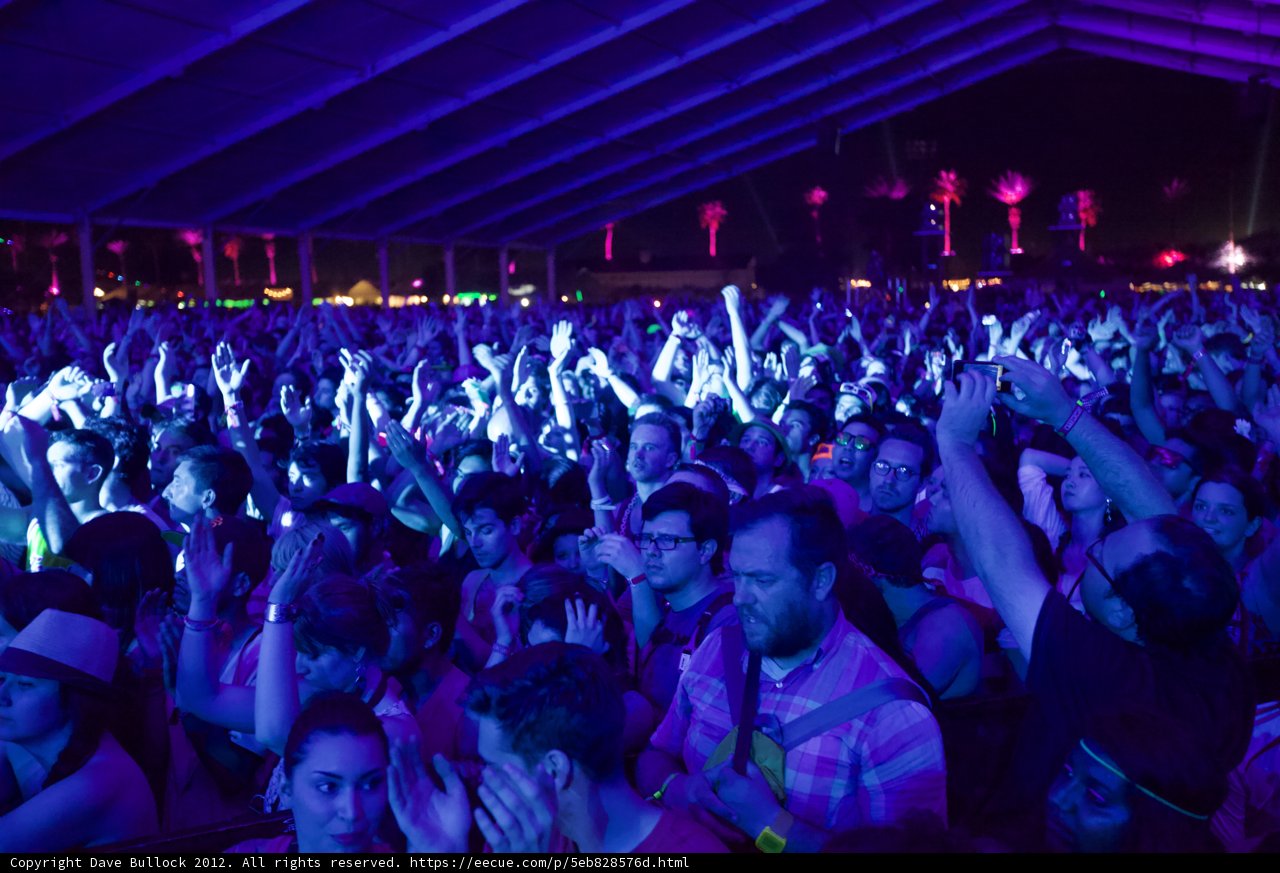 Electric Crowd at Coachella 2012
