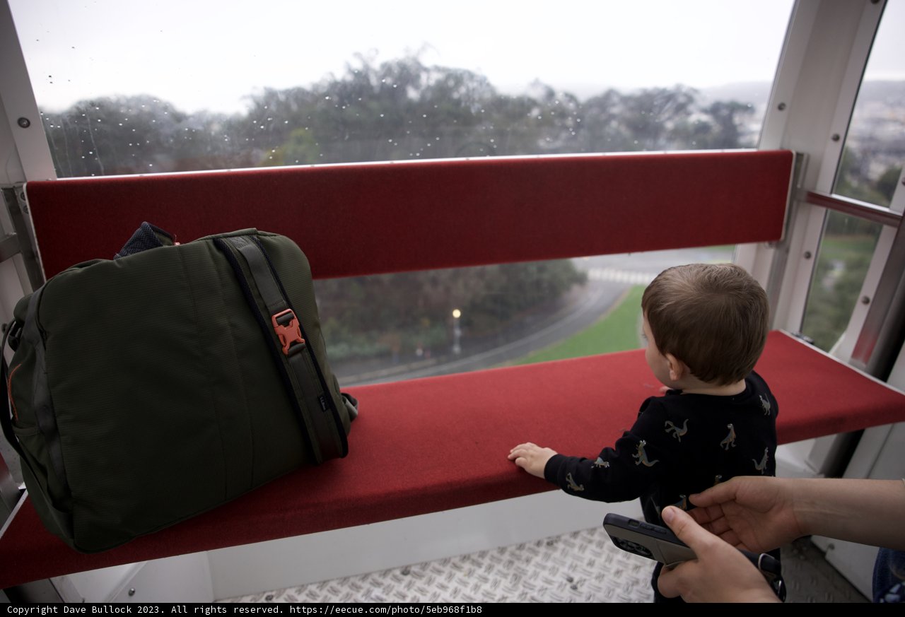 Wesley's Adventure in Golden Gate Park