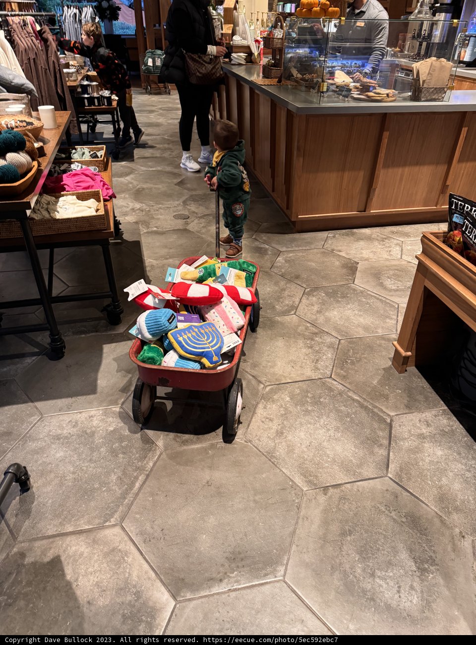 Toy Cart Adventure in Carmel