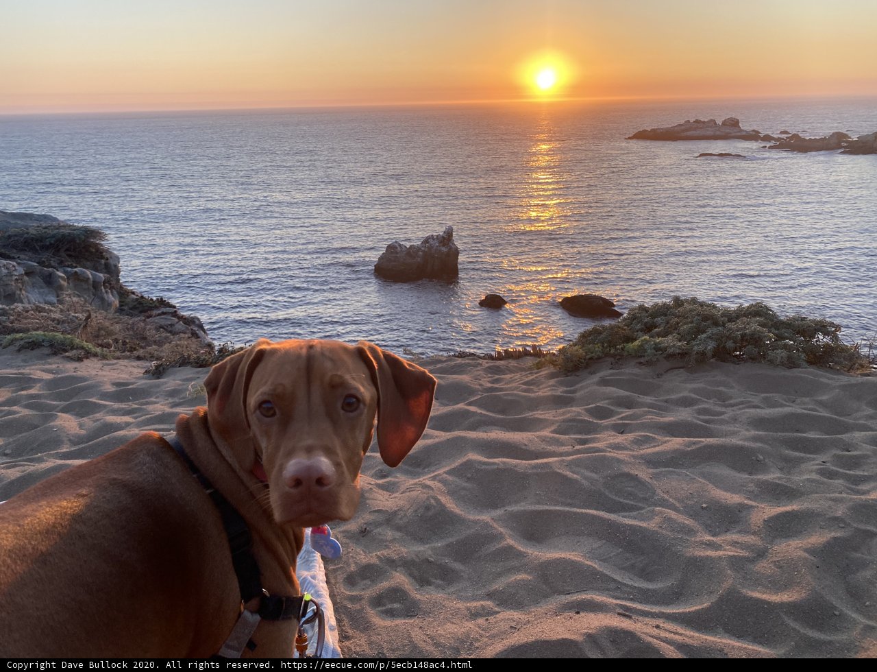 Sunset Beach Buddy