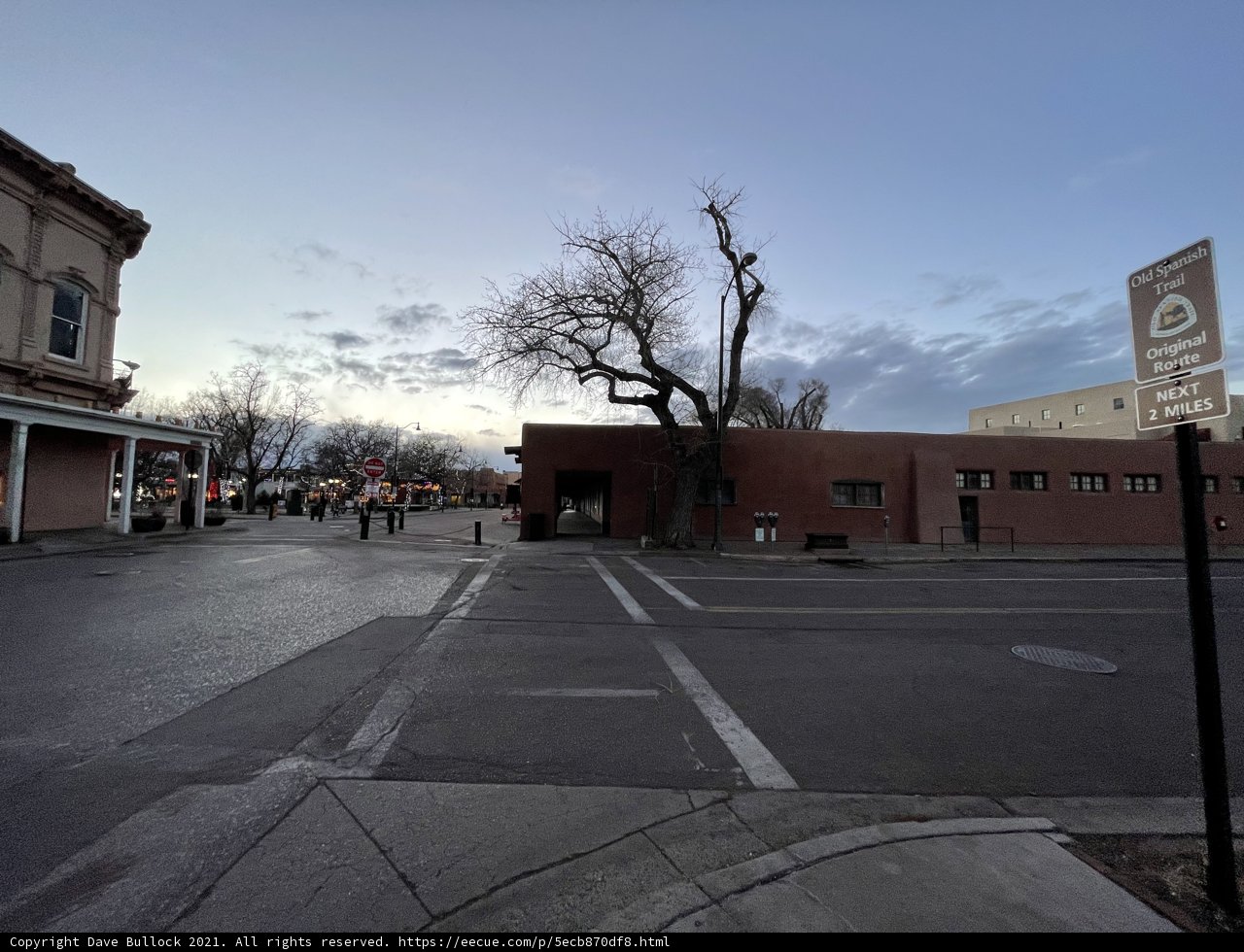 The Tree-Lined City Street