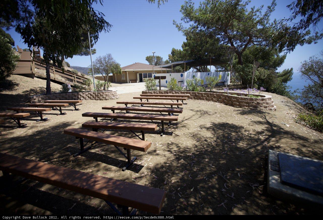 A Serene Escape in a Sheltered Park