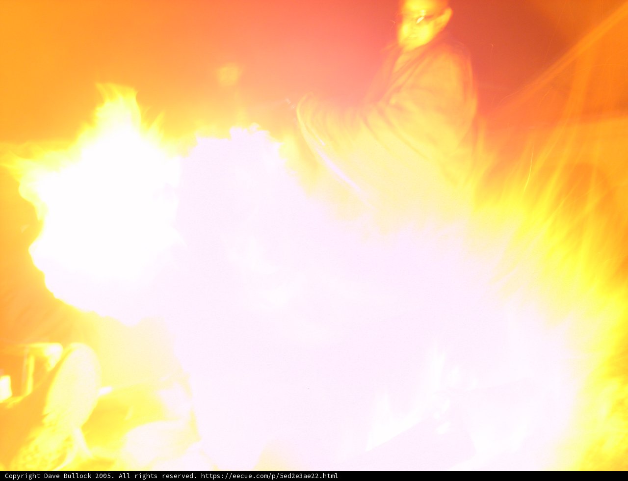 Standing in the Flames