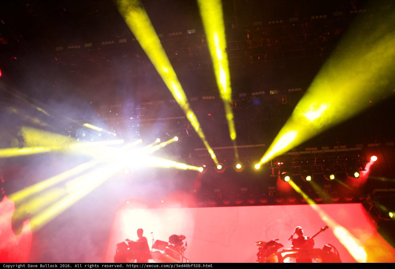 Lights of the Night