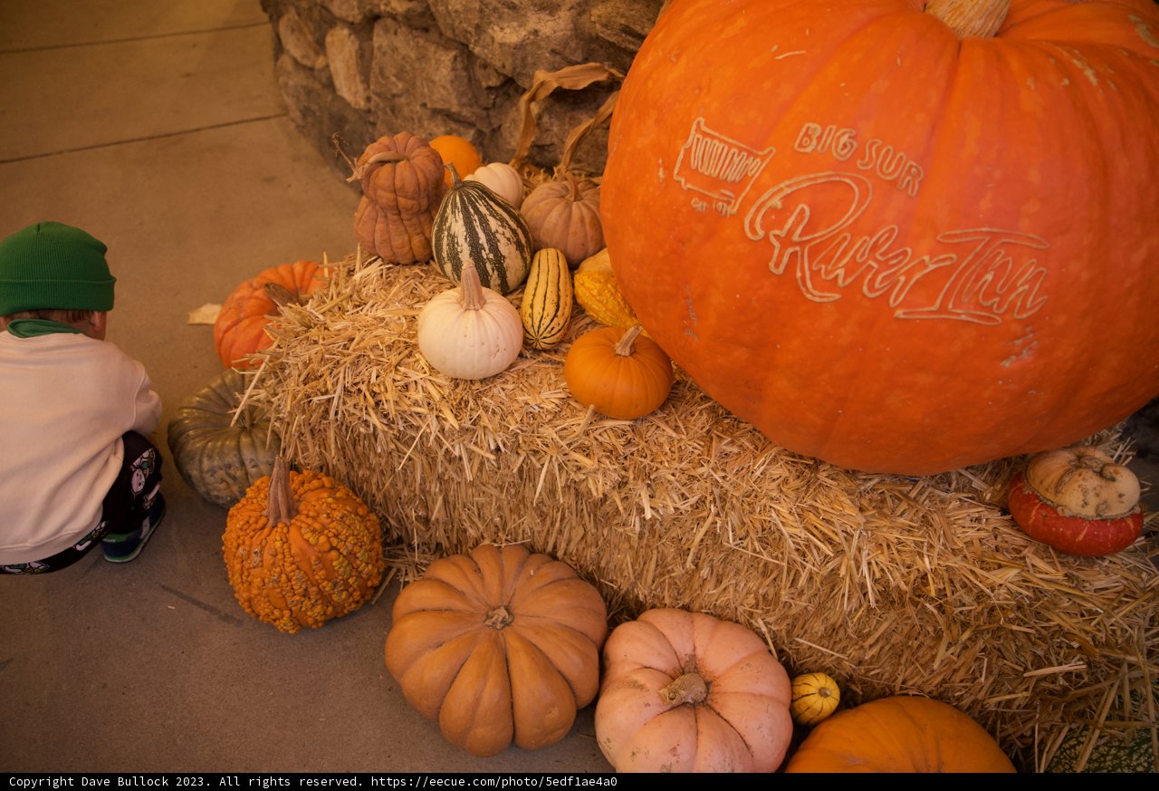 Harvest Time in Big Sur: A Little Country Charm