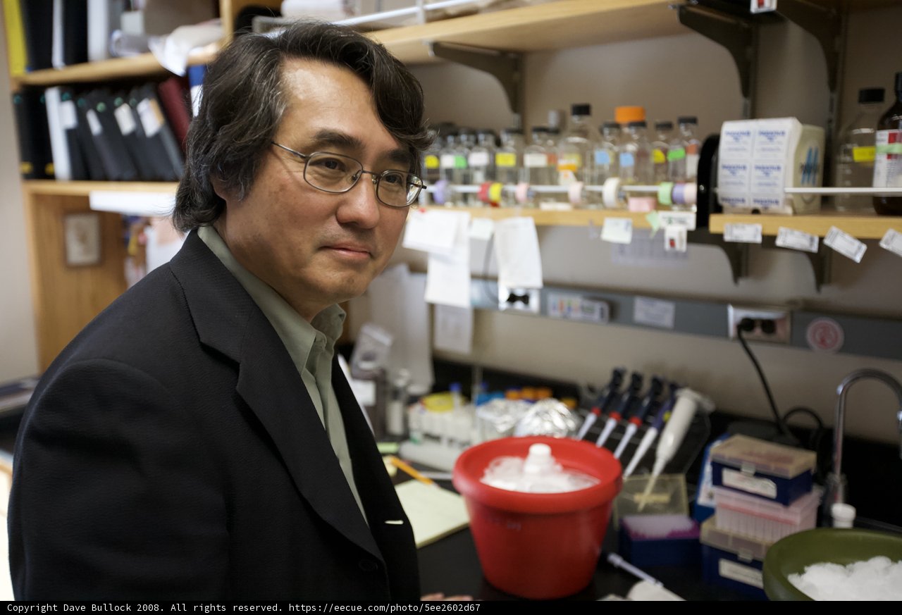 The Scientist and the Shelves