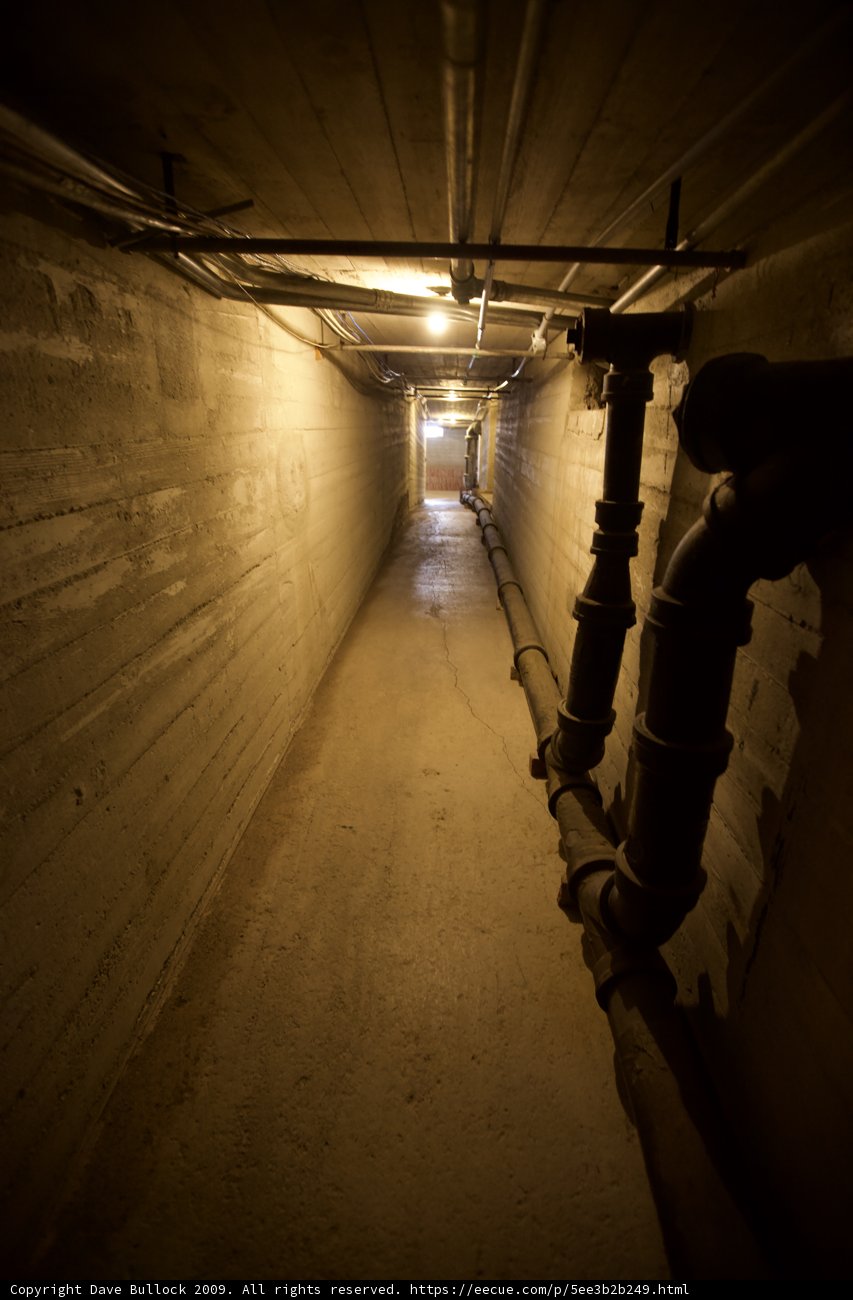 Journey Through the Corridor