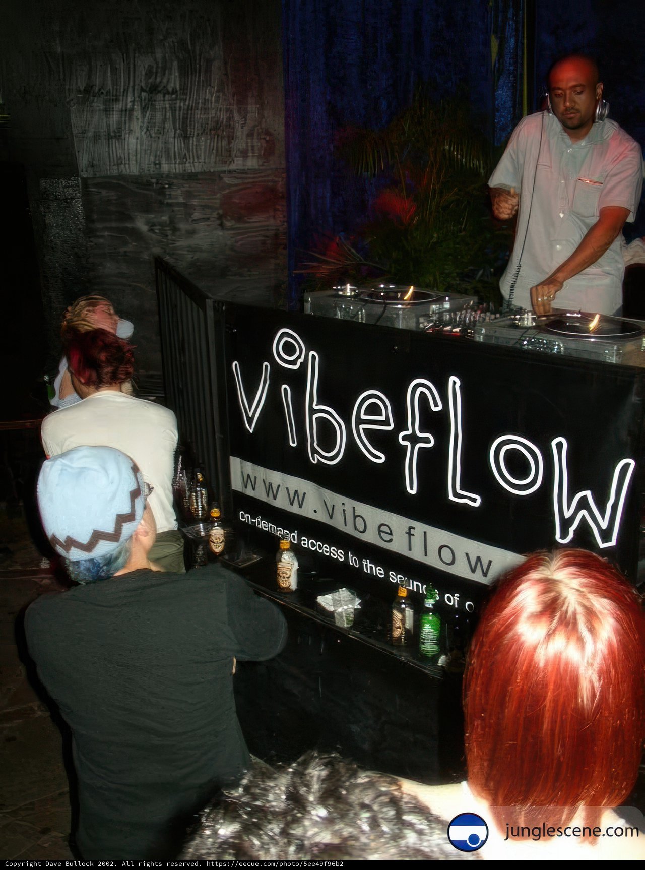 VibeFlow Deejay at the Club