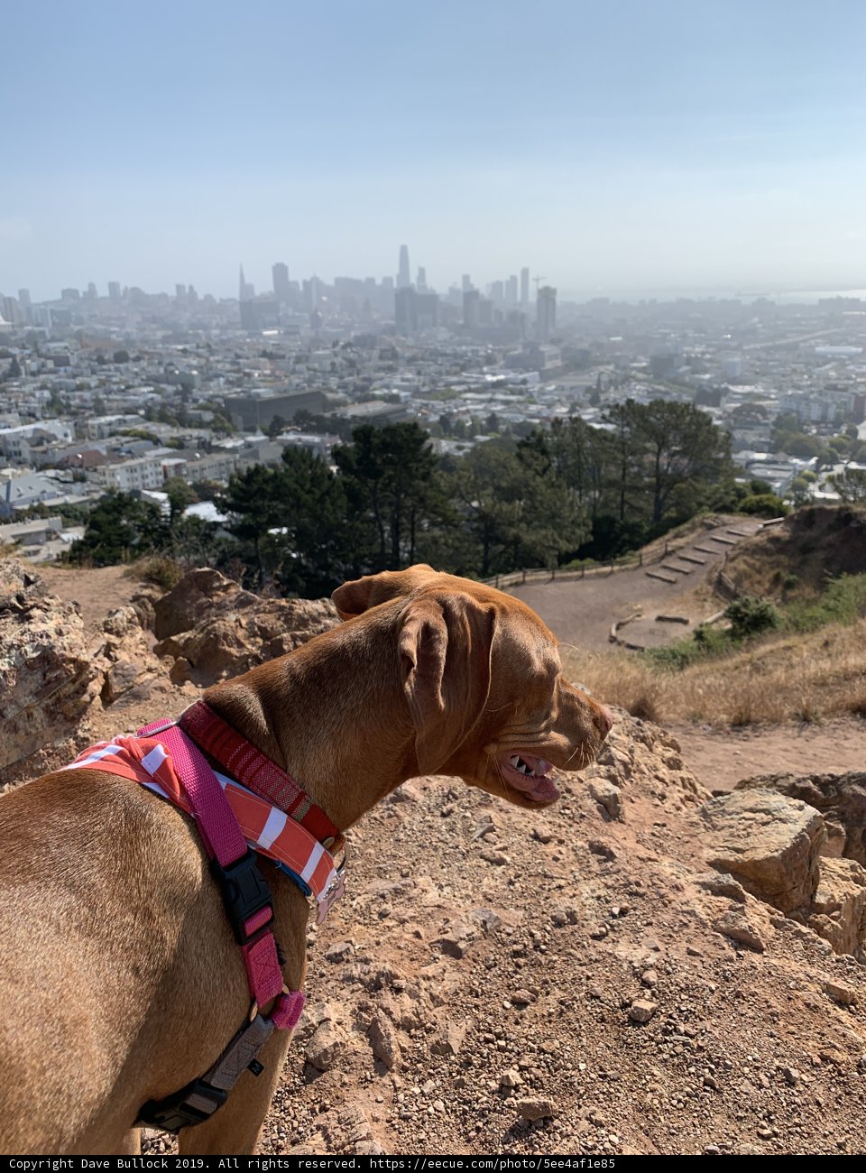 Pretty in Pink