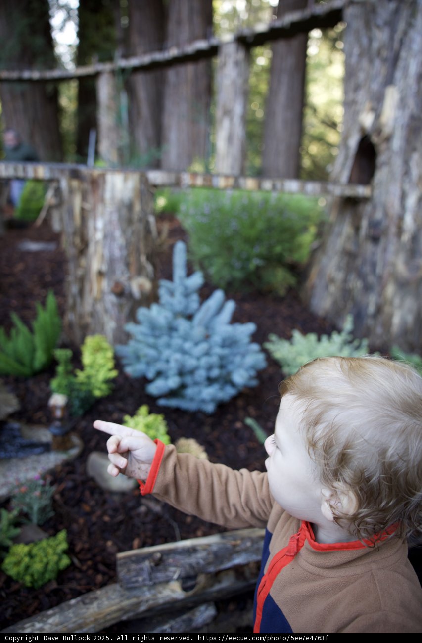 Curious Discoveries in Thistlewyck's Garden