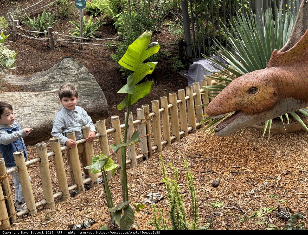 Little Explorers in a Prehistoric Playground