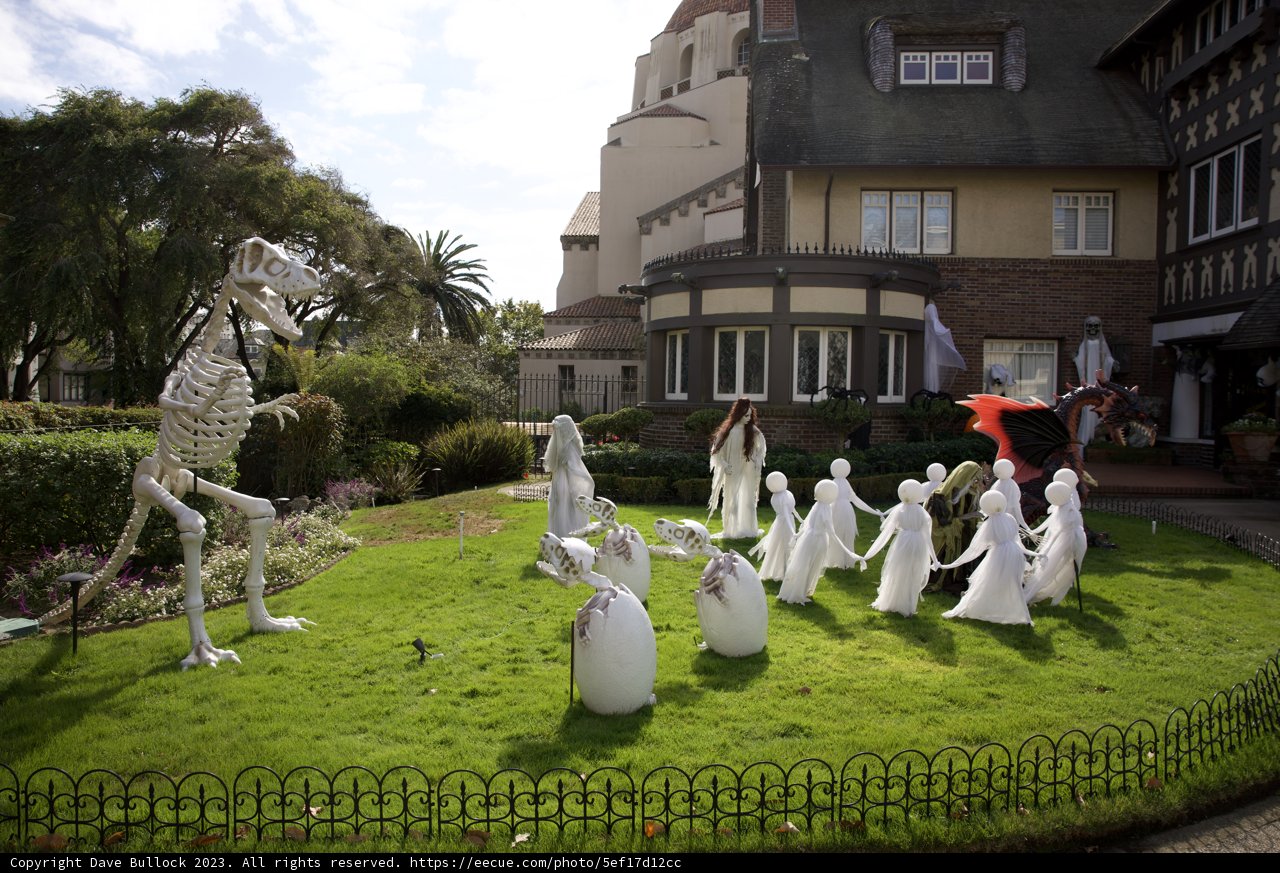 Enigmatic Ensemble in Ethereal White